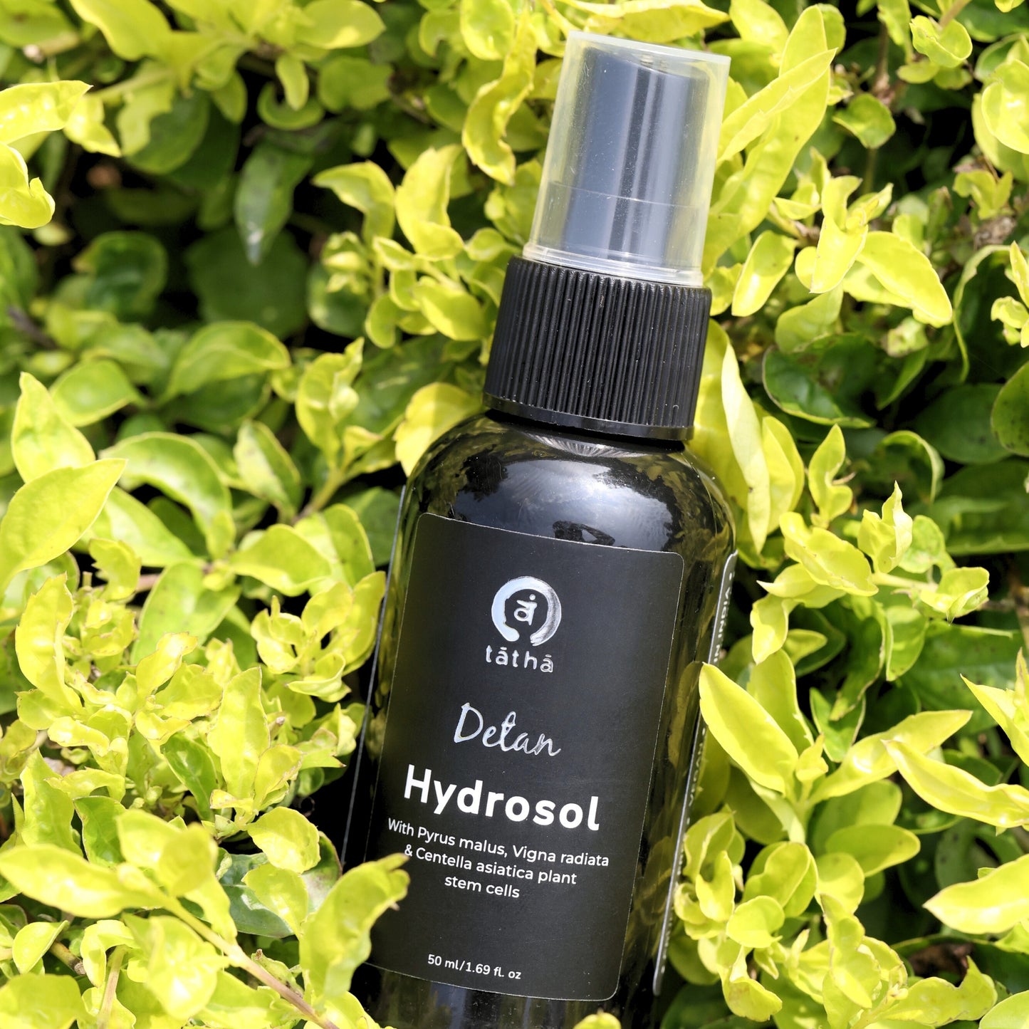 Detain Hydrosol
