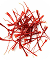 Kashmiri Saffron