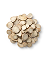 Paeonia Suffruticosa / Peony Root Extract