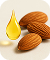 Sweet Almond Oil