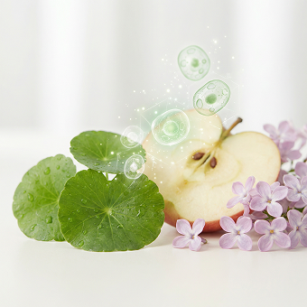 India's First Plant Stem Cell Skincare